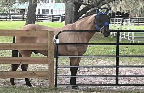 Double D Ranch - Foto 59