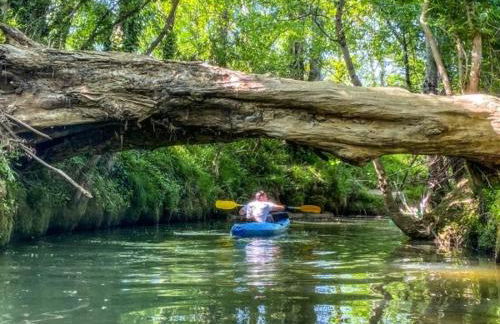Chalet La clef des champs - Vue Imprenable - Piscine - Photo 21