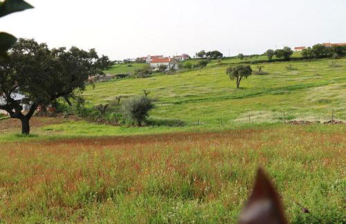 C M Casa de Mares Alojamento Local - Foto 6