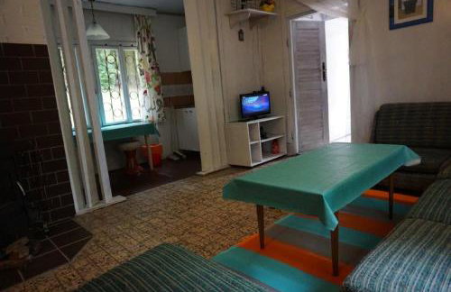 Domek letniskowy Ińsko (4-5 osób) - Foto 10