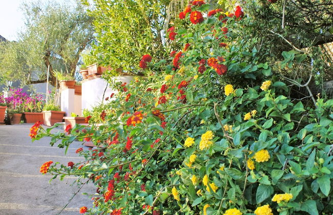 Residence Albarosa - Foto 44