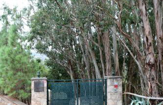 Dúplex de invitados en medio del bosque - Foto 31