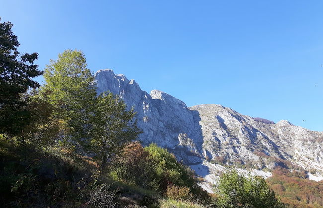 B&B da Morena - Foto 33