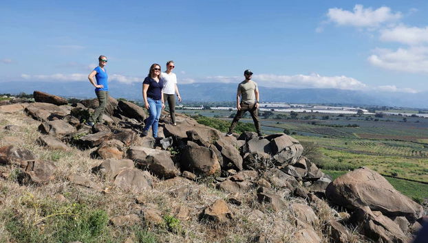 Exploring the agave landscape