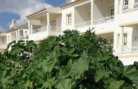 Superior Apartment Casa Vela Albufeira S Rafael beach - Foto 68