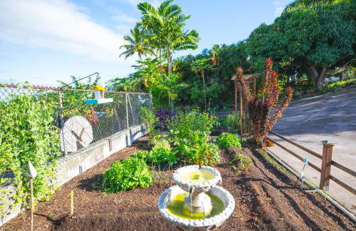 Affordable Luxury on One Acre - Foto 2