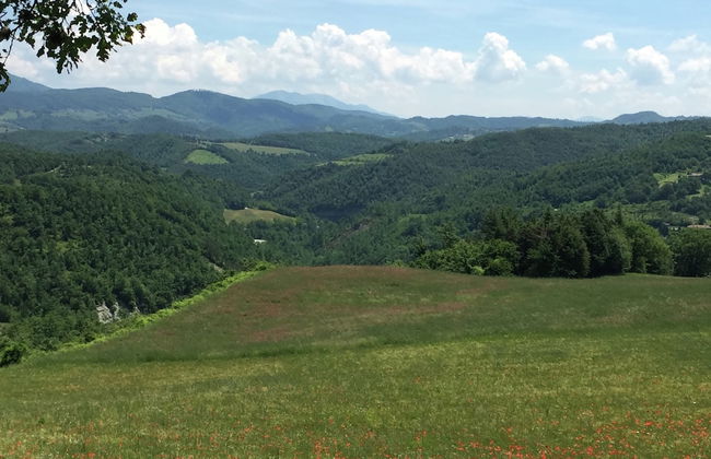 Belvilla by OYO Seriola - Foto 29