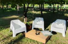 Viña da Igrexa, casa con jardin y barbacoa en cambados - Foto 2