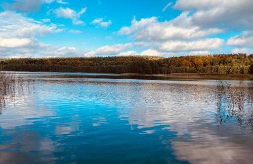 I - Apartament na Warmi dla rodzin z dziećmi - Foto 33