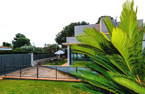 Gira-sol Planetcostadorada - Foto 27