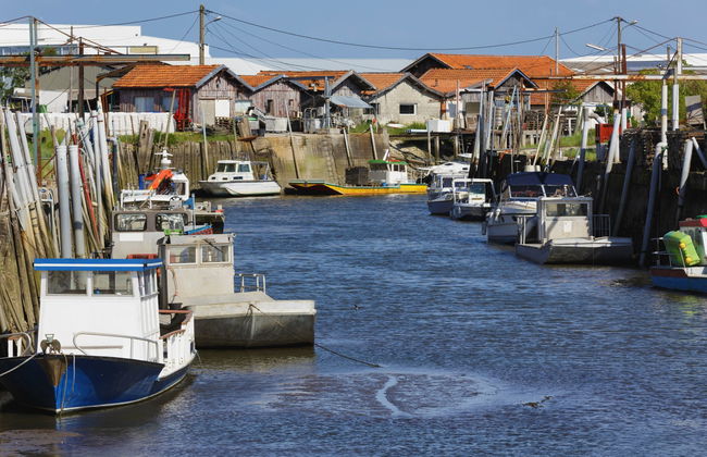 L'Albizia - Photo 19