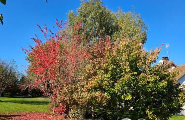 Gîte Le p'tit nid de Montachon, Saulieu, Morvan - Photo 45