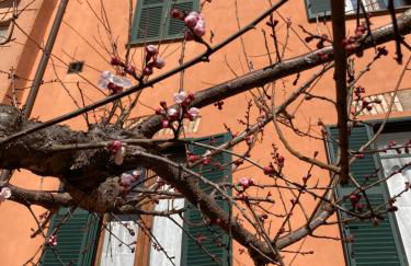 Tuscany Location - Foto 22