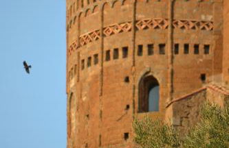 case vacanza Il Castello - Foto 46