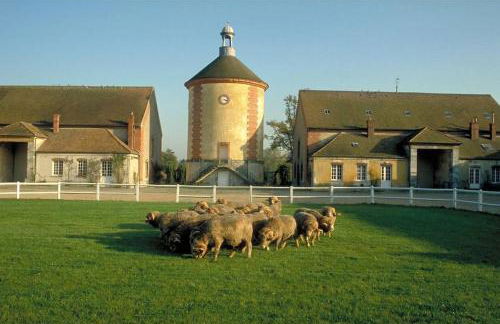 Gîte de l'Alisier - Rambouillet - - Foto 31