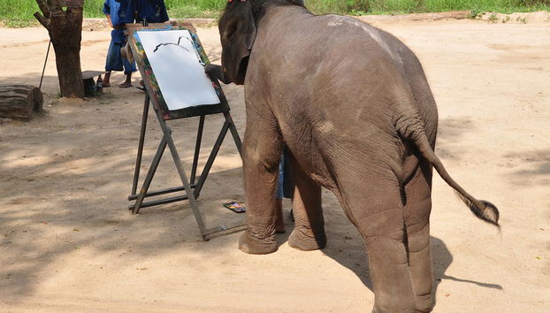 Ein Blick auf Lampang von Hotels in Chiang Mai City - Foto 2