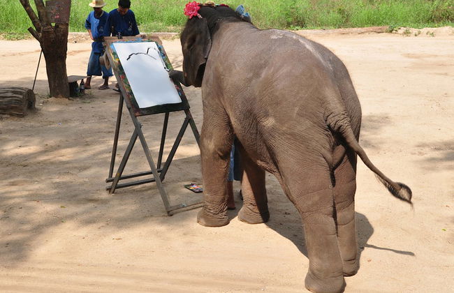 A Glimpse Of Lampang from Hotels in Chiang Mai City only - Photo 2
