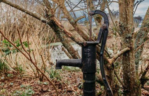 Heron's Perch- A pond-side retreat with cinema room - Photo 38