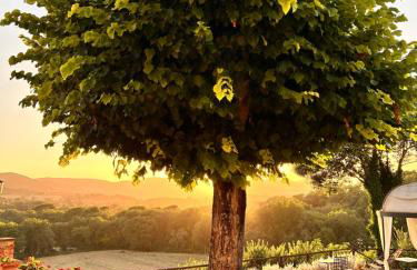 Torre Palombara - Dimora Storica - Foto 124