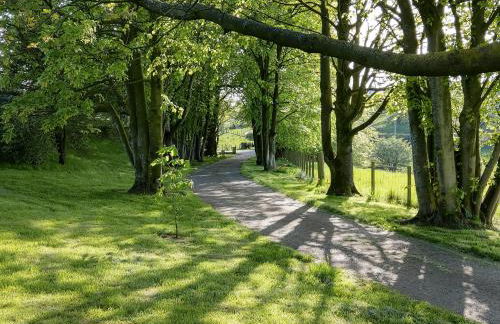 Smithfield House - Foto 31