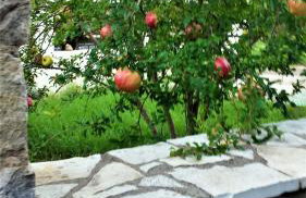 Manto Studios - Photo 43