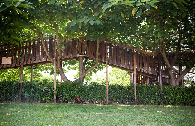 Agriturismo Ca' Vecia - Photo 46