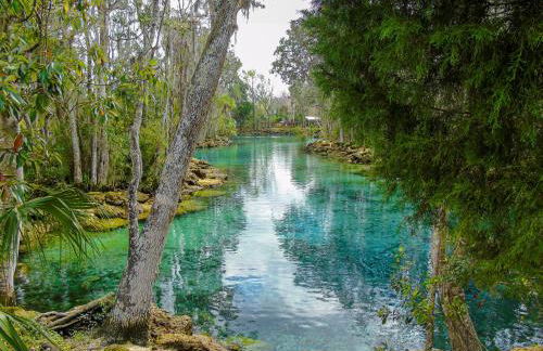 Escape to Secluded Spa, Heated Pool, Game Room, Firepit Near Crystal and Rainbow Rivers - Foto 59