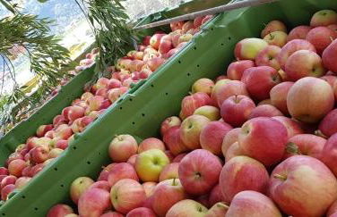 Haus Hofer *** - Foto 21