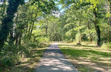 Home in Champagnac La Riviere with shared pool - Foto 12