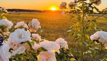 Q80 Appartement - Foto 2