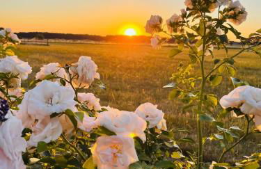 Q80 Appartement - Foto 2