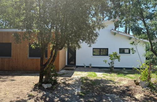 Wonderful house on the lake with idyllic lake views - Foto 25