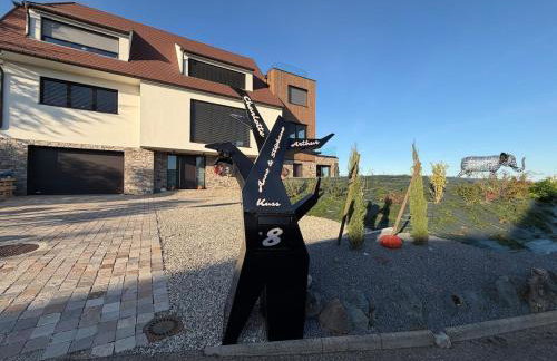 L'écrin d'Anne et Stéphane - vue sur Strasbourg - Foto 23