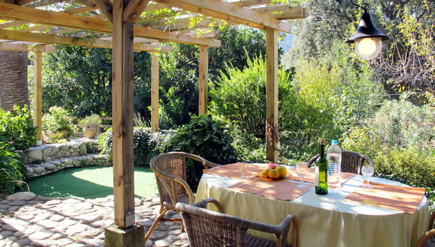 Svyntha - Foto 2, Terrace