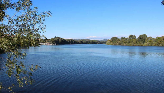 Minho River Boat Tour - Foto 4