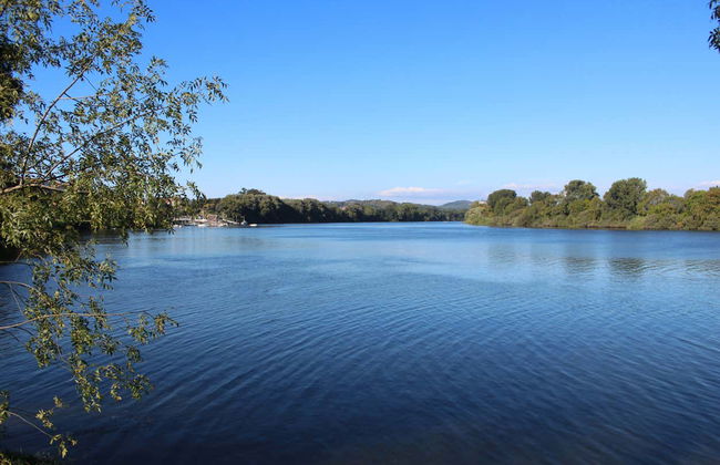 Minho River Boat Tour - Foto 4