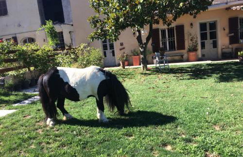 Cascina Vicentini - Foto 76