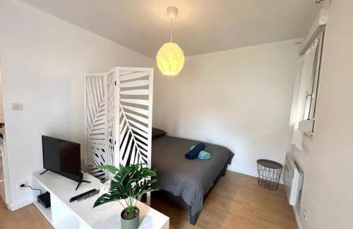 Charming T1 - Parking - Metro St Agne - Foto 14