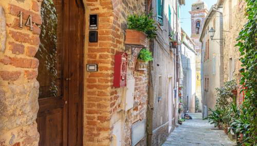 Beb Pulcino Nero Scrofiano - Foto 1