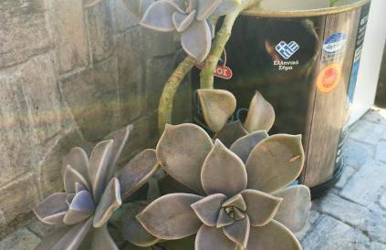 Evilion house inTholo. Sea, nature, relaxation! - Foto 40