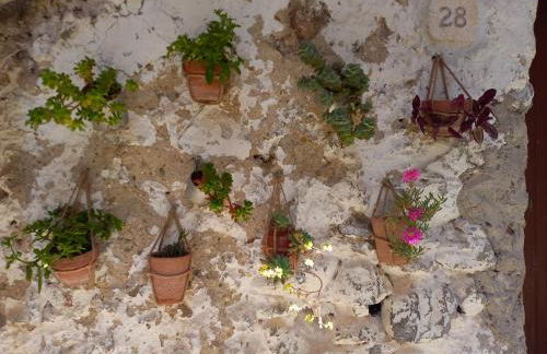 Zi' Ciccio Casa Vacanze - Foto 4