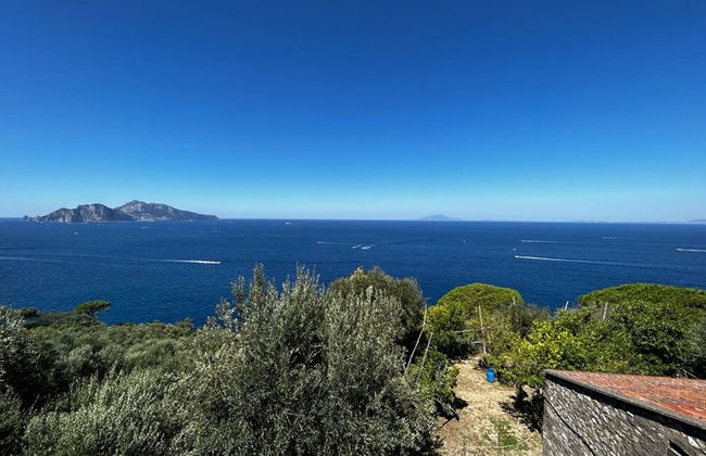 Giardino Caprese - Foto 4