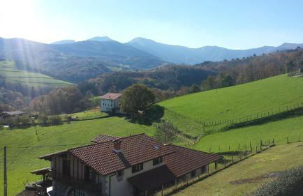 Aizalegia - Photo 35