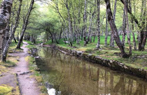 Casa dos Jasmins by Lisbon Village Apartments - Foto 16