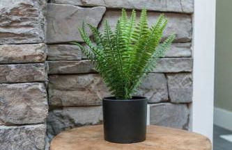 Soul Sister- Creek View, WiFi, Firepit, WiFi, Hiking, 4 mins to Natural Bridge - Foto 27