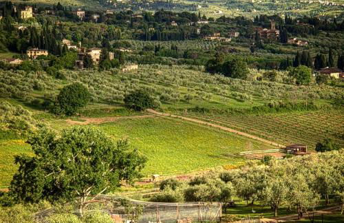 Agriturismo Fattoria Di Maiano - Foto 55