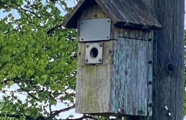 The Crest Hillside Retreat With Hot Tub - Foto 14