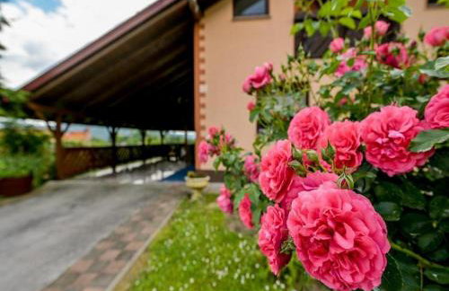 Kuća za odmor Mateja Varaždinske Toplice - Foto 35
