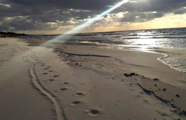 Chata Lawendowa - Foto 52