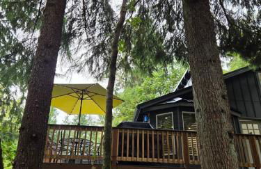 Dovetail Den - Tranquil with Hot Tub and Air Conditioning - Foto 23